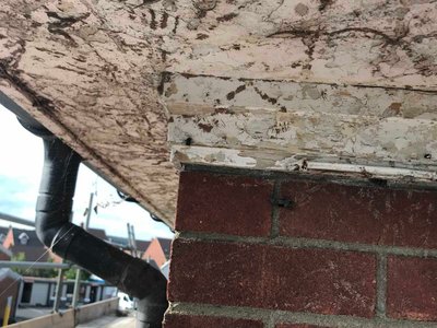 ROKA Dental Practice - Image 7